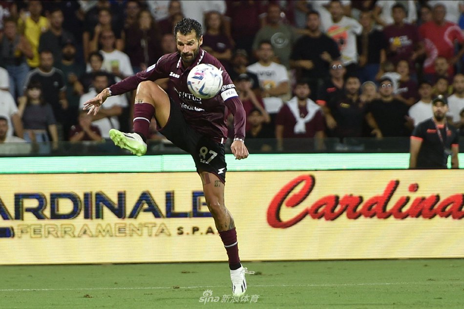 山东选手的 山东选手的